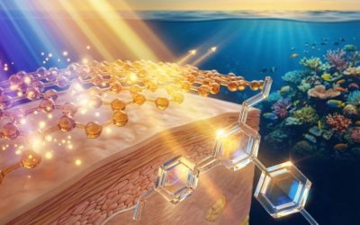 Filtri UV 3.0: Fotostabili, Anti-Blue Light e Reef-Safe