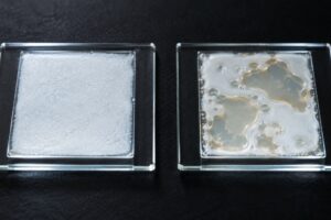 Come capire se un’emulsione cosmetica è davvero stabile