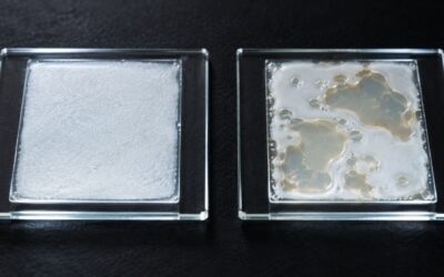 Come capire se un’emulsione cosmetica è davvero stabile